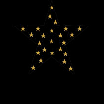 Ladies Petite Star T-shirt by MarciaCox Ladies Petite Star T-shirt