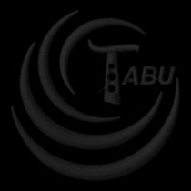 Ladies Polo T Logo Black embroidered shirts