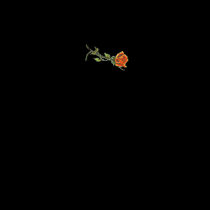 Ladies Rose Tat2 T t-shirts