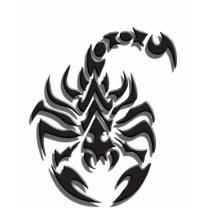 Ladies Scorpion Tee t-shirts