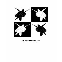Ladies Turtle Inverted Tile T-Shirt