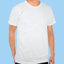 Ladies Twofer Sheer Long Sleeve (Fitted) t-shirts