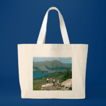 Ladies View Killarney National Park bags