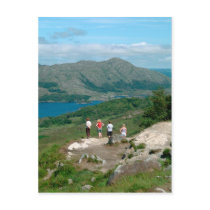 Ladies View Killarney National Park Postcard