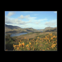Ladies View postcards
