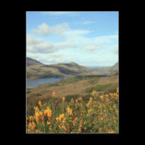 Ladies View postcards
