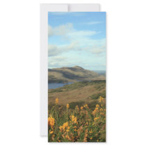 Ladies View Personalized Rack Card