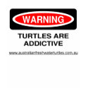 Ladies Warning Turtles are Addictive t-shirts