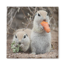 Ladies Who Lunch Magnet by poozybear Ladies Who Lunch Magnet