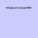 Ladies WILDCAT COUNTRY tank top t-shirts by hcove06 Ladies WILDCAT COUNTRY tank top t-shirts