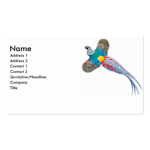 Lady Amherst Pheasant Business Card