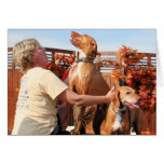 Lady and Sammy - Vizsla Photo-04 Cards