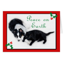 Lady and Spooky Peace on Earth cards