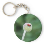 Lady Bird Key Chain