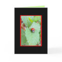 lady bug Blank notecard by KatAnnette lady bug Blank notecard