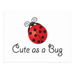 Lady Bug - Cute as a Bug Postcards