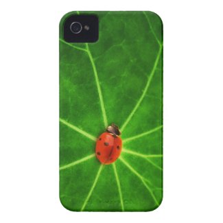 Lady Bug Iphone 4S Case Case-Mate iPhone 4 Case