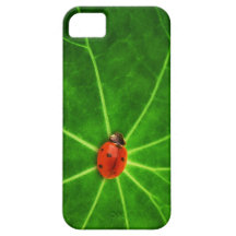 Lady Bug Iphone 5S Case iPhone 5 Cover