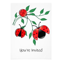 Lady Bug, Lady Bugs Announcements