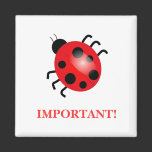 Lady Bug | Magnet magnets