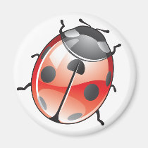Lady Bug Magnet magnets