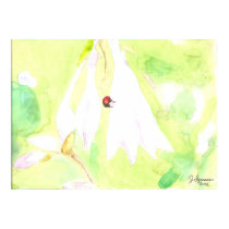Lady  Bug on Hosta Bloosom posters