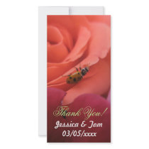 Lady Bug Roses Wedding Custom Photo Card