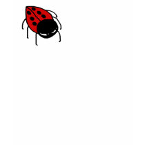 Lady Bug t-shirts