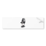"Lady" Bumper Stickers