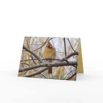 Lady C Greeting Card
