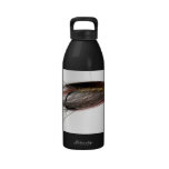 Lady Caroline Salmon Fly Water Bottle