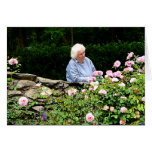 Lady Cutting Roses Lady Cutting Roses