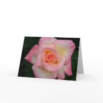Lady Di Rose cards by engbertson Lady Di Rose cards