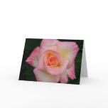 Lady Di Rose cards