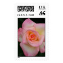Lady Diana Rose postage by engbertson Lady Diana Rose postage