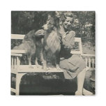 lady dog bench fridge magnets