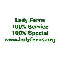 Lady Ferns 100% Service 100% Specialwww.ladyfer... t-shirts
