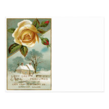 Lady Grey Perfume USA Post Cards