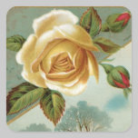Lady Grey Perfume USA stickers