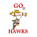 Lady Hawk Volleyball Player Poster posters