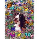 Lady in Butterflies  - Brittany Spaniel t-shirts