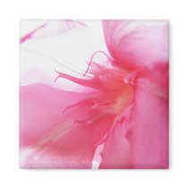 Lady In The Wind magnets
