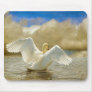 Lady-In-Waiting Swan - Mousepad