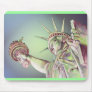 Lady Liberty Mouse Pads