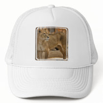 Lady Lioness Baseball Hat