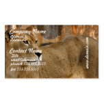 Lady Lioness Business Cards
