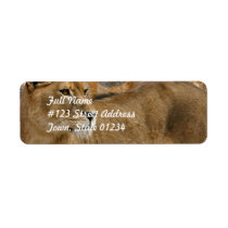 Lady Lioness Mailing Labels
