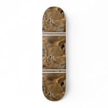Lady Lioness Skateboard