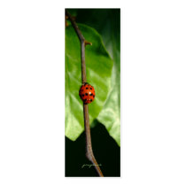 lady luck business cards by poupoune lady luck business cards