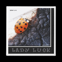 Lady Luck Magnet